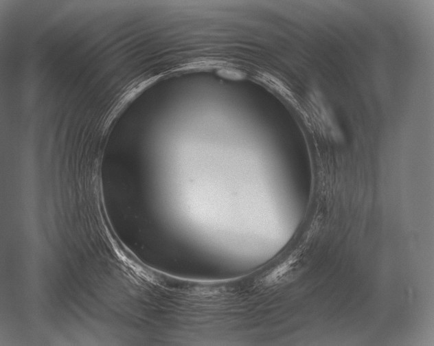 X0000052561049200507081630