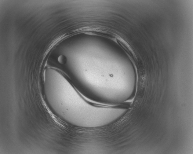 X0000052561050200507081630