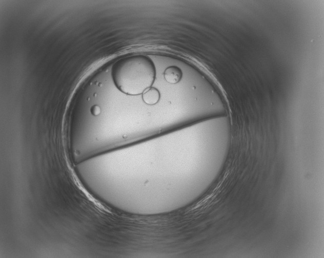 X0000052561053200507081630