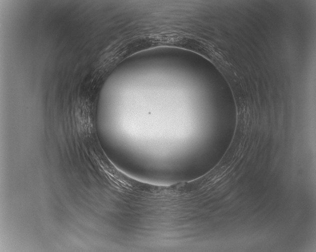 X0000052561058200507081630