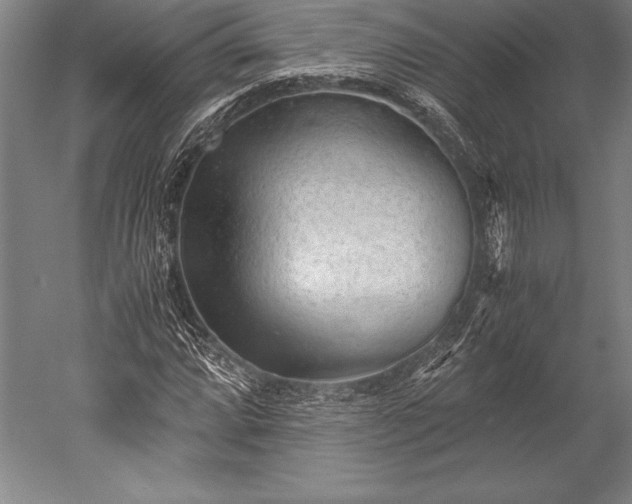 X0000052561064200507081630