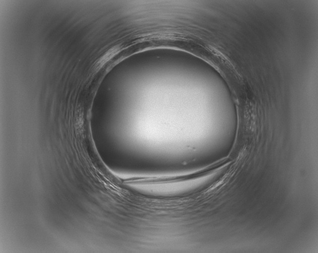 X0000052561065200507081630