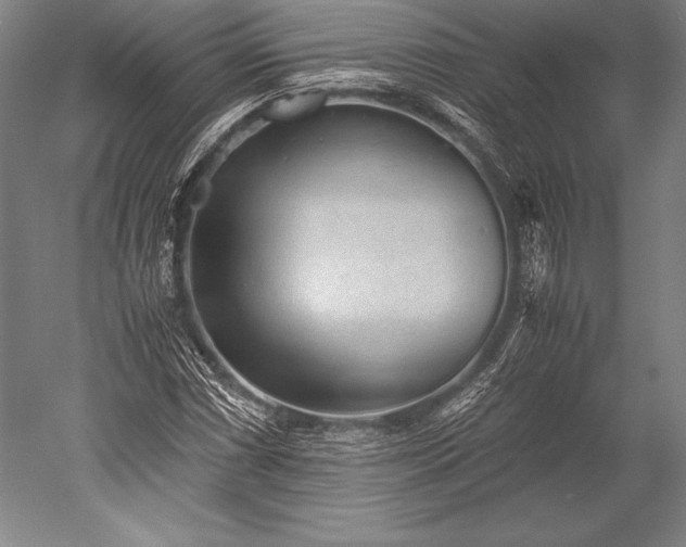 X0000052561066200507081630