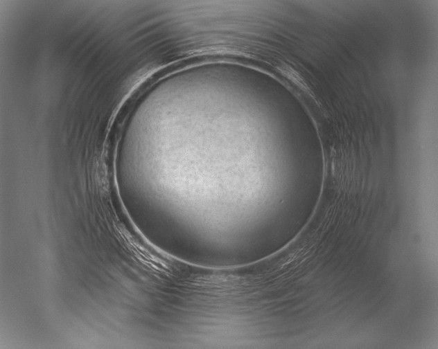 X0000052561068200507081630