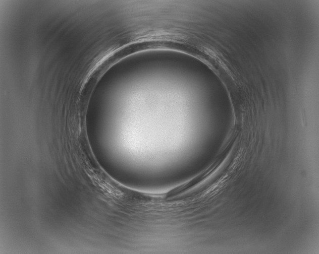 X0000052561069200507081629