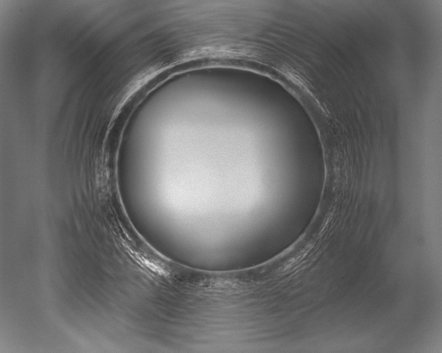 X0000052561070200507081629
