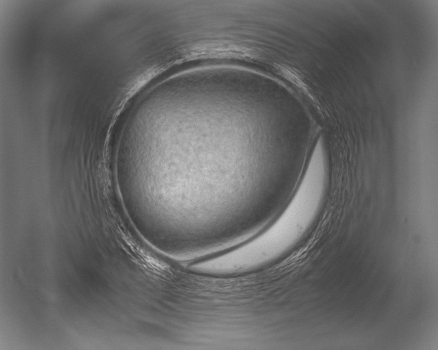 X0000052561071200507081629