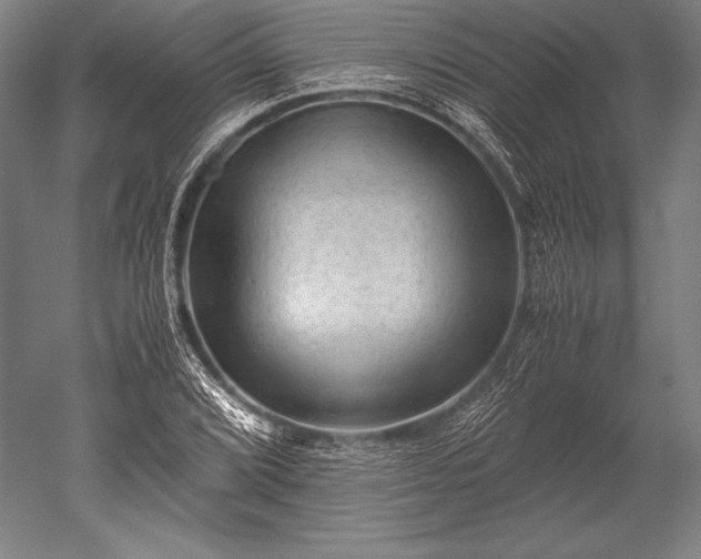 X0000052561072200507081629