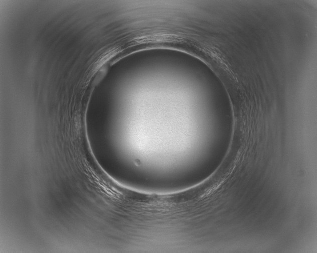 X0000052561073200507081629