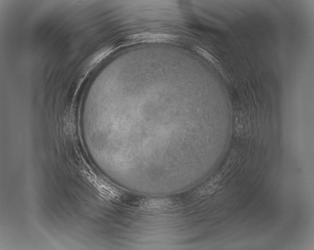 X0000052561074200507081629