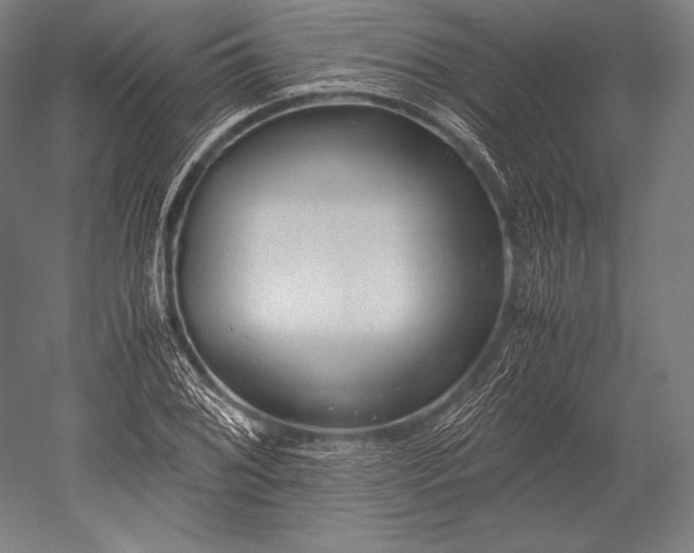 X0000052561076200507081629