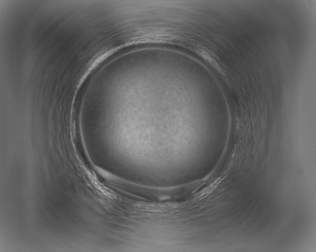 X0000052561077200507081629