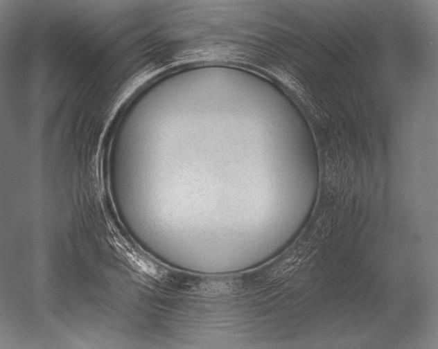 X0000052561078200507081629