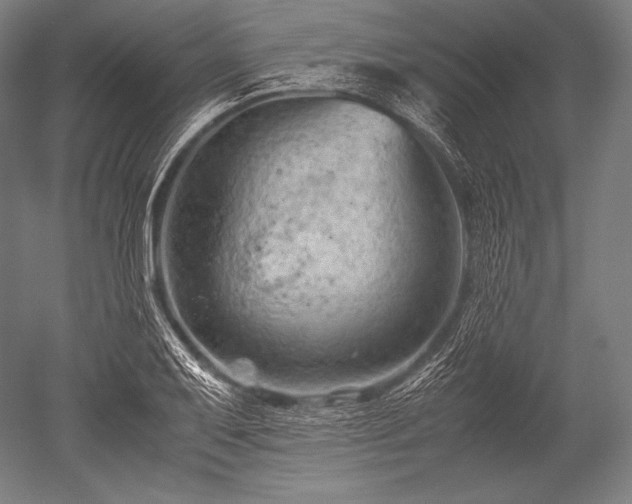 X0000052561079200507081629