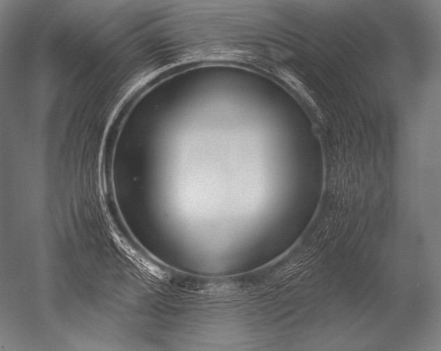 X0000052561080200507081629