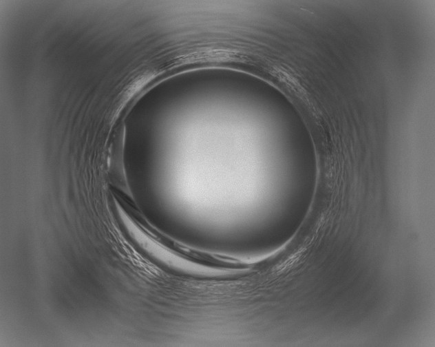 X0000052561081200507081629