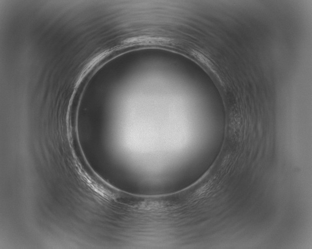 X0000052561082200507081629