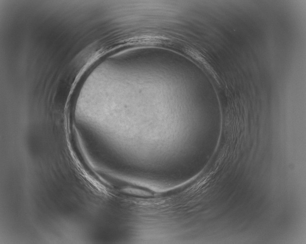 X0000052561083200507081629