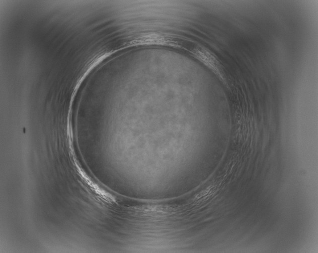 X0000052561084200507081629