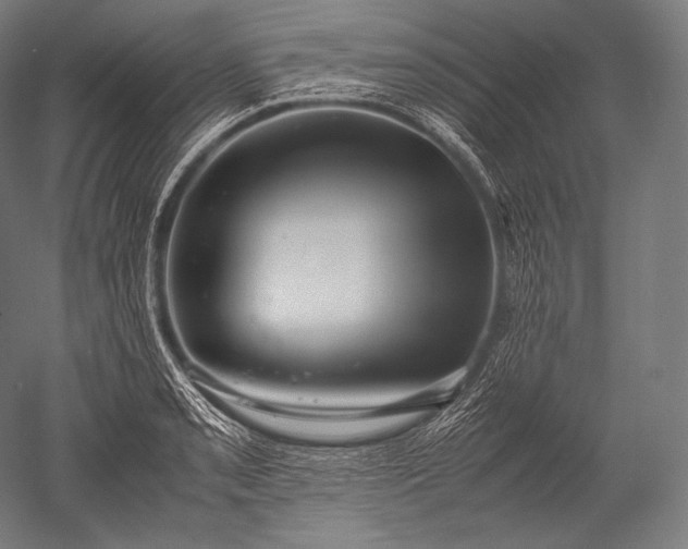 X0000052561085200507081629