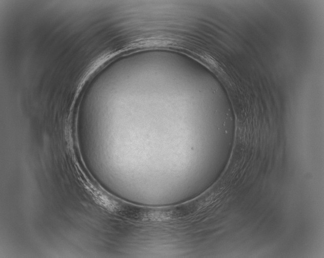 X0000052561086200507081629