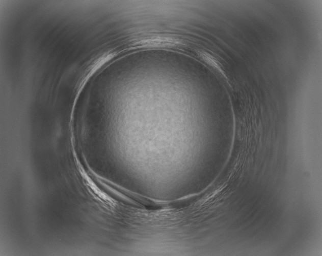 X0000052561087200507081629