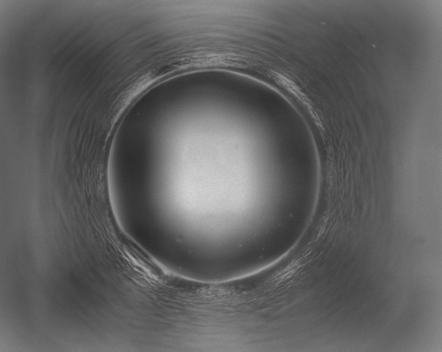X0000052561089200507081629