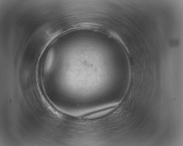 X0000052561091200507081629