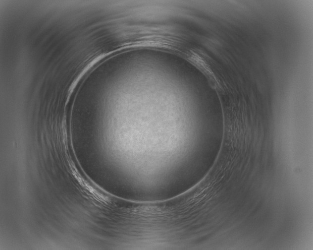 X0000052561092200507081629