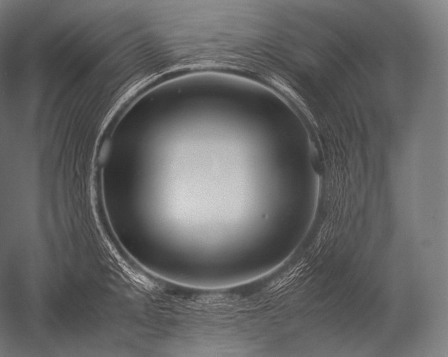 X0000052561093200507081629