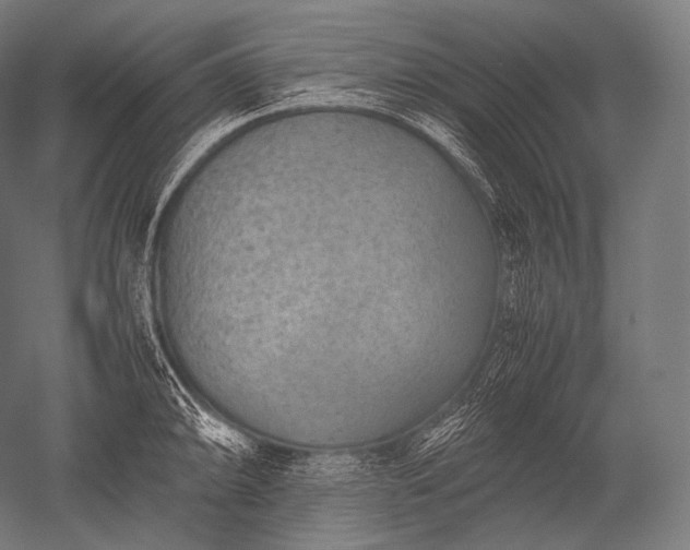 X0000052561094200507081629