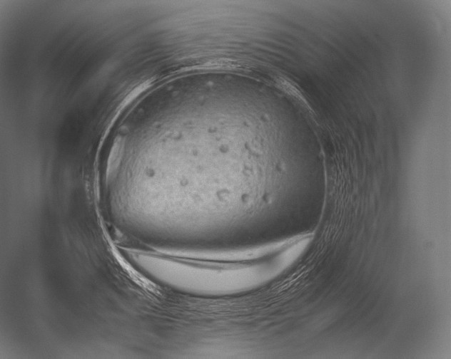 X0000052561095200507081629