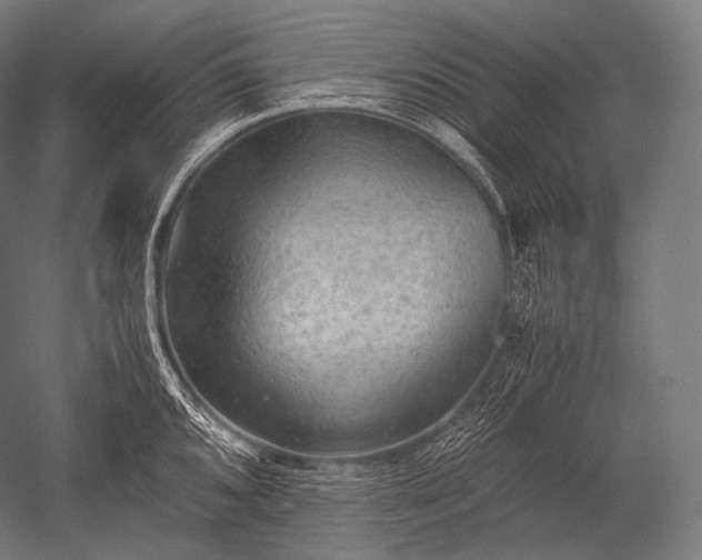 X0000052561096200507081629