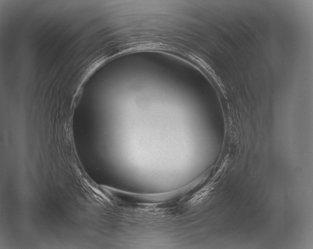 X0000052561097200507081629
