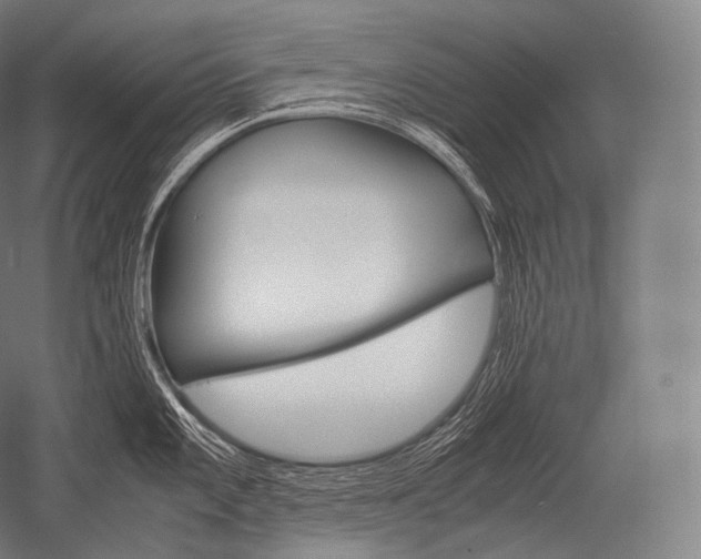 X0000052561101200507081629