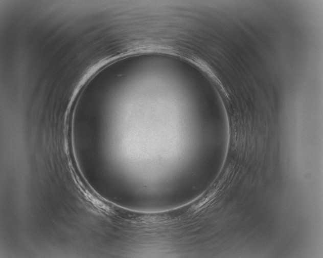X0000052561102200507081629