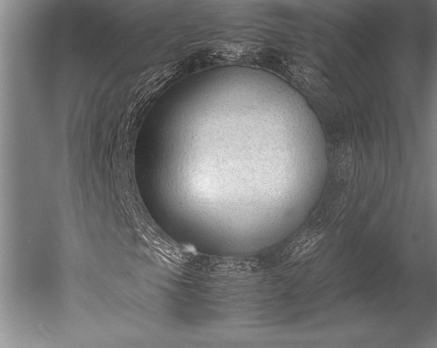X0000052561105200507081628