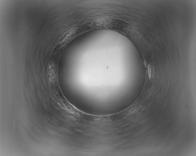 X0000052561107200507081628
