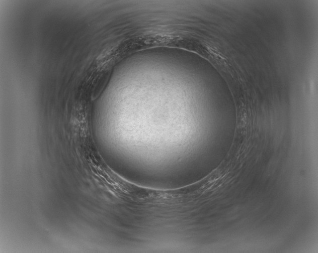 X0000052561109200507081628