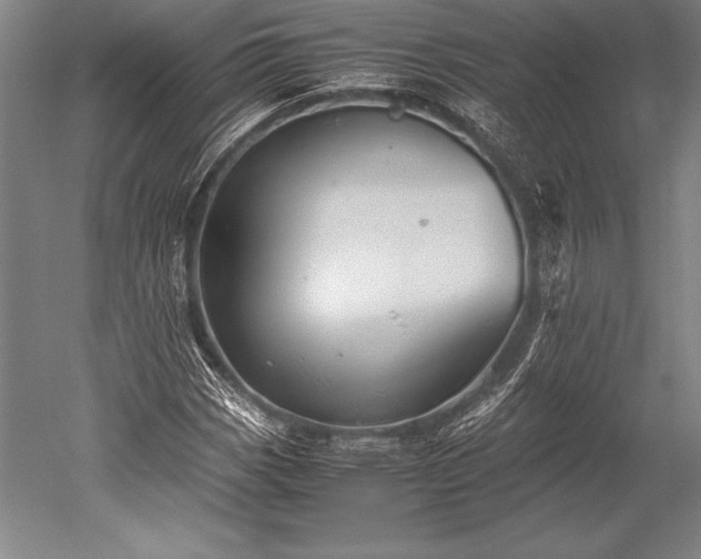 X0000052561113200507081628