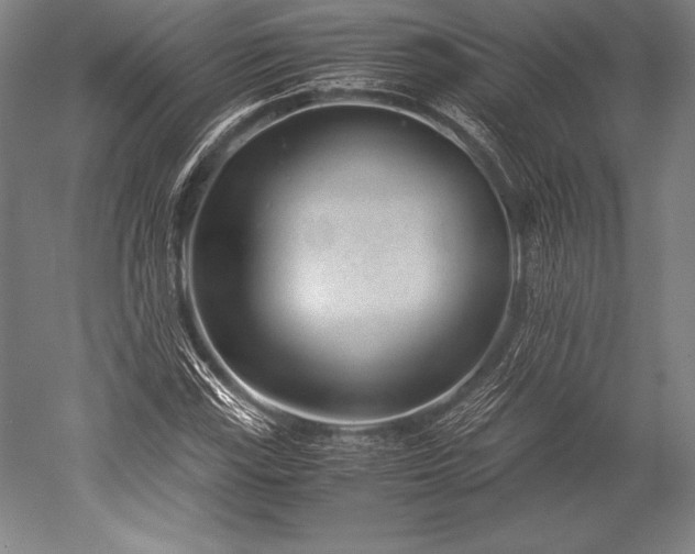 X0000052561115200507081628