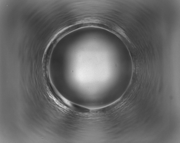 X0000052561116200507081628