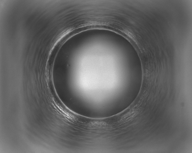X0000052561119200507081628