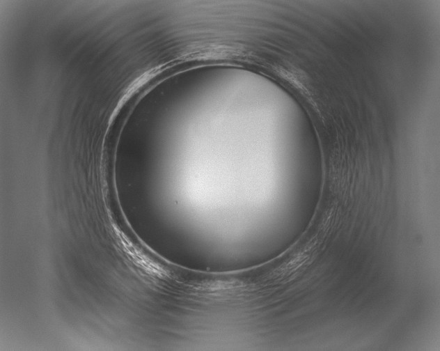 X0000052561122200507081628