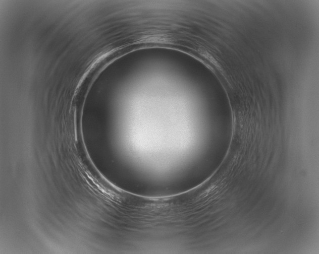X0000052561123200507081628