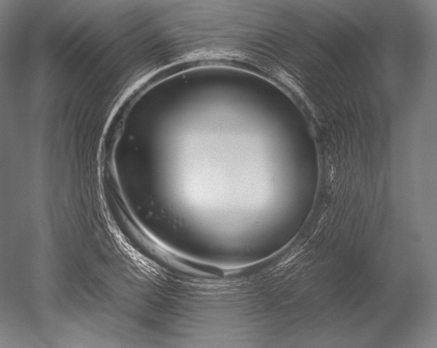 X0000052561124200507081628