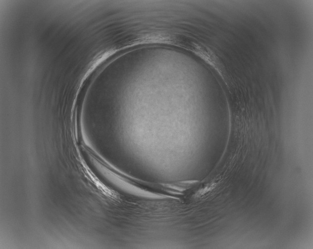 X0000052561127200507081628