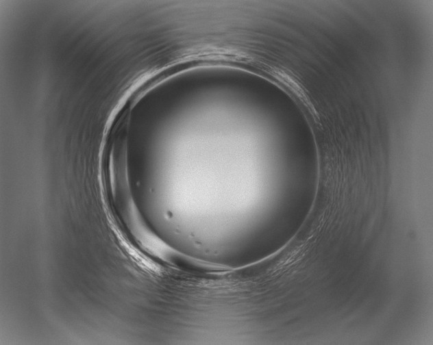 X0000052561128200507081628