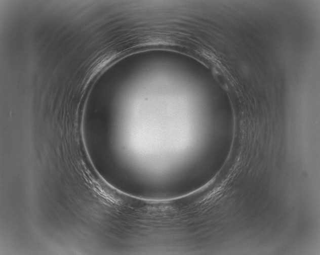 X0000052561129200507081628