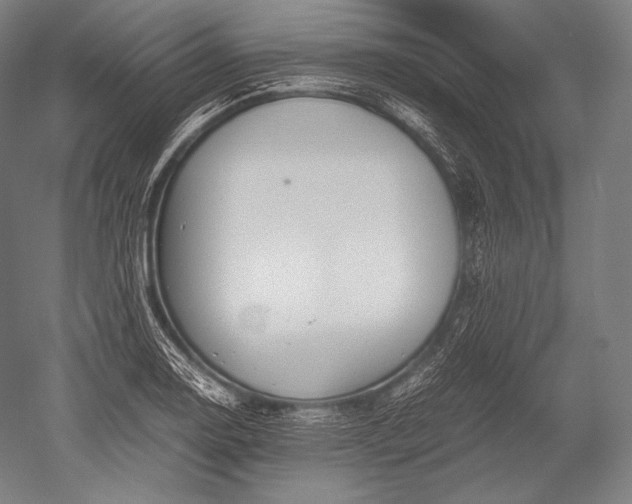 X0000052561130200507081629